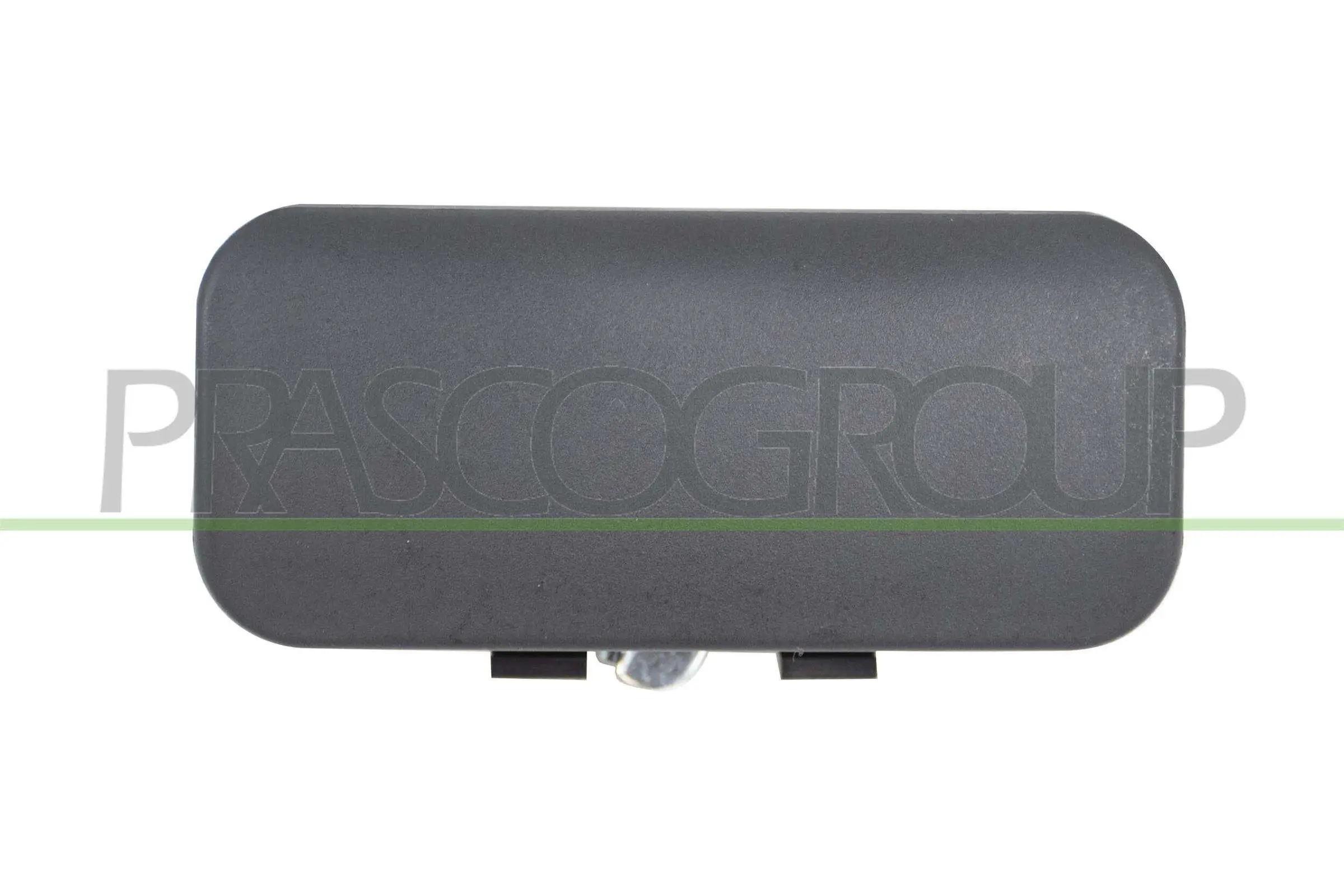 Türaußengriff hinten rechts PRASCO FD9108301