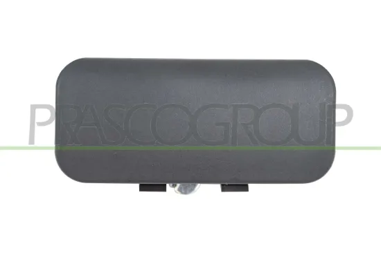 Türaußengriff hinten rechts PRASCO FD9108301 Bild Türaußengriff hinten rechts PRASCO FD9108301