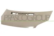 Motorhaube PRASCO FD9123100