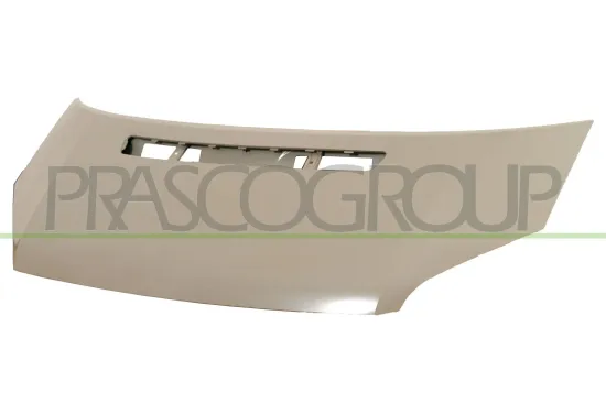 Motorhaube PRASCO FD9123100 Bild Motorhaube PRASCO FD9123100