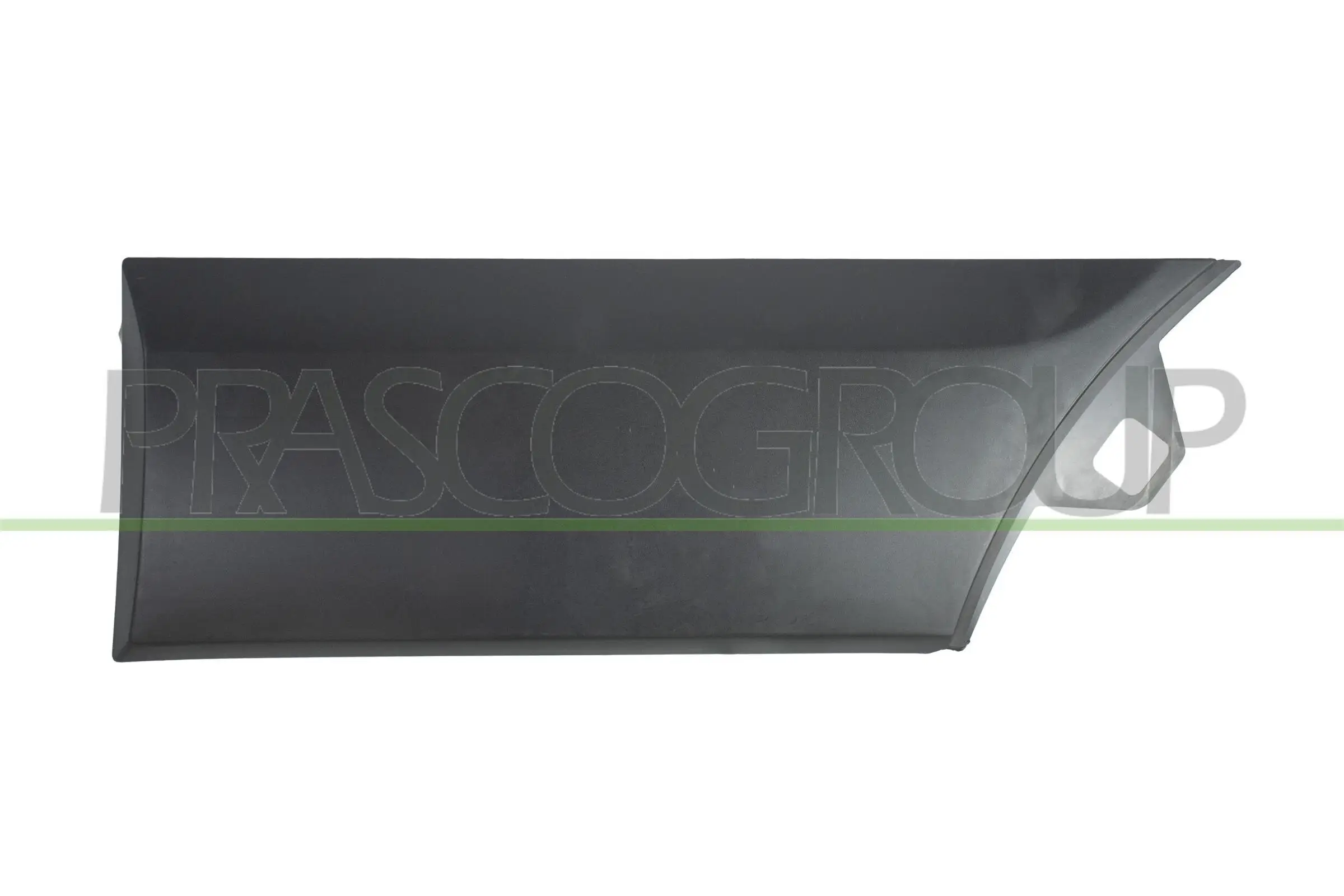 Zier-/Schutzleiste, Kotflügel hinten links PRASCO FD9131466
