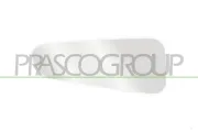 Spiegelglas, Außenspiegel links PRASCO FD9147516