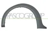 Zier-/Schutzleiste, Kotflügel vorne rechts PRASCO FD9341581