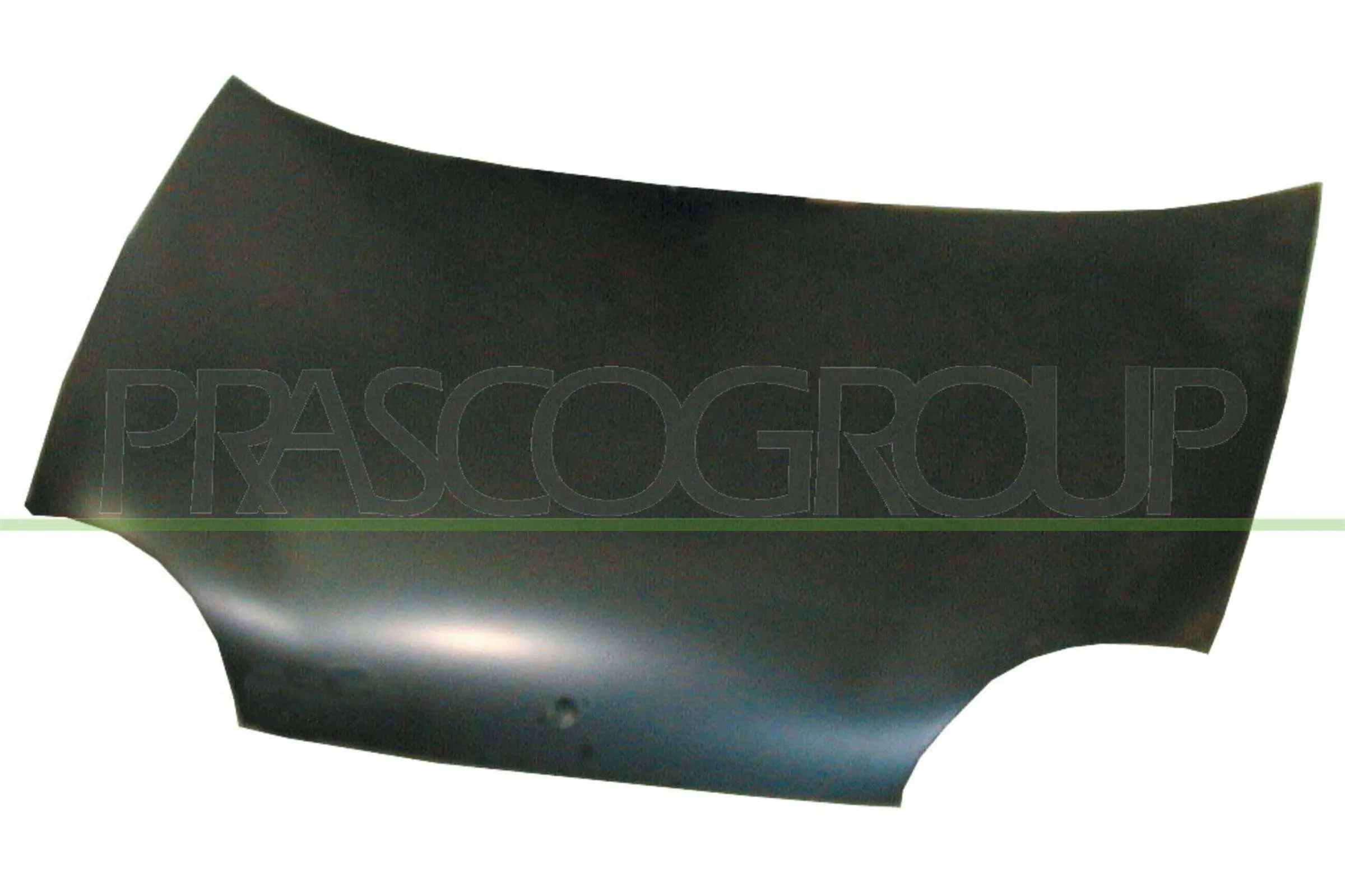 Motorhaube PRASCO FT0193100
