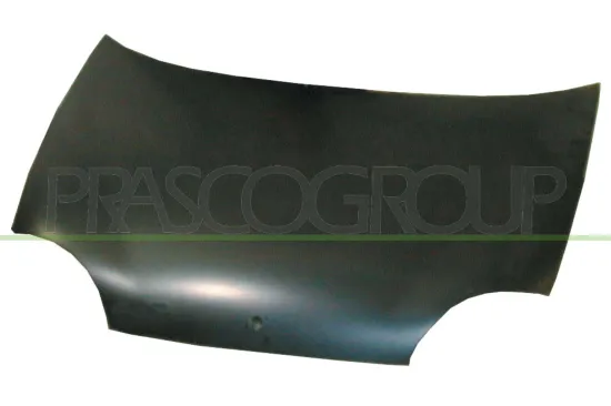 Motorhaube PRASCO FT0193100 Bild Motorhaube PRASCO FT0193100
