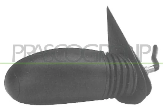 Außenspiegel rechts PRASCO FT0197103 Bild Außenspiegel rechts PRASCO FT0197103