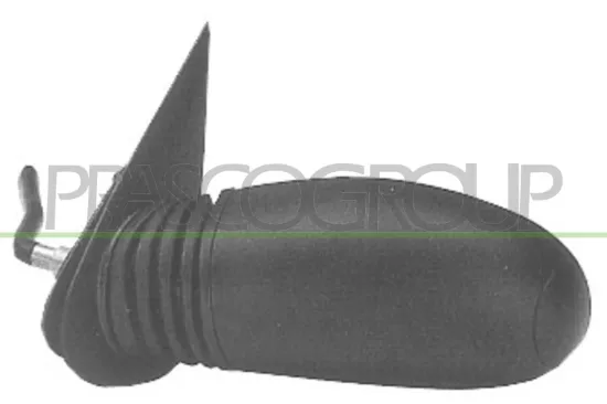 Außenspiegel links PRASCO FT0197104 Bild Außenspiegel links PRASCO FT0197104