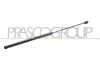Gasfeder, Koffer-/Laderaum hinten links hinten rechts PRASCO FT0199055