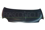 Motorhaube PRASCO FT0303100