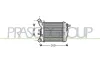 Ladeluftkühler PRASCO FT030N002