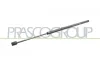 Gasfeder, Koffer-/Laderaum hinten links hinten rechts PRASCO FT0409055