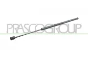 Gasfeder, Koffer-/Laderaum hinten links hinten rechts PRASCO FT0409055