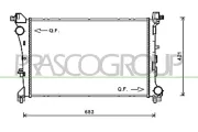 Kühler, Motorkühlung PRASCO FT040R002