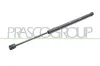 Gasfeder, Koffer-/Laderaum hinten links hinten rechts PRASCO FT0609055