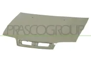 Motorhaube PRASCO FT1133110