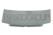 Motorhaube PRASCO FT1223130