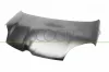 Motorhaube PRASCO FT1243130
