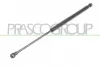Gasfeder, Koffer-/Laderaum beidseitig PRASCO FT1249065
