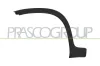 Verbreiterung, Kotfl&uuml;gel vorne links PRASCO FT1251582