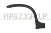 Verbreiterung, Kotfl&uuml;gel hinten rechts PRASCO FT1251593