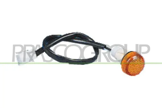 Blinkleuchte vorne links vorne rechts seitlicher Einbau PRASCO FT1294039 Bild Blinkleuchte vorne links vorne rechts seitlicher Einbau PRASCO FT1294039