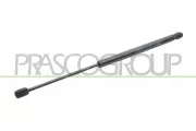 Gasfeder, Koffer-/Laderaum hinten links hinten rechts PRASCO FT1329055