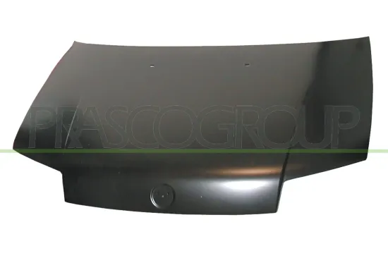 Motorhaube PRASCO FT1333100 Bild Motorhaube PRASCO FT1333100