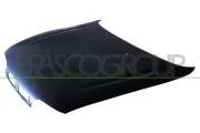 Motorhaube PRASCO FT1373100