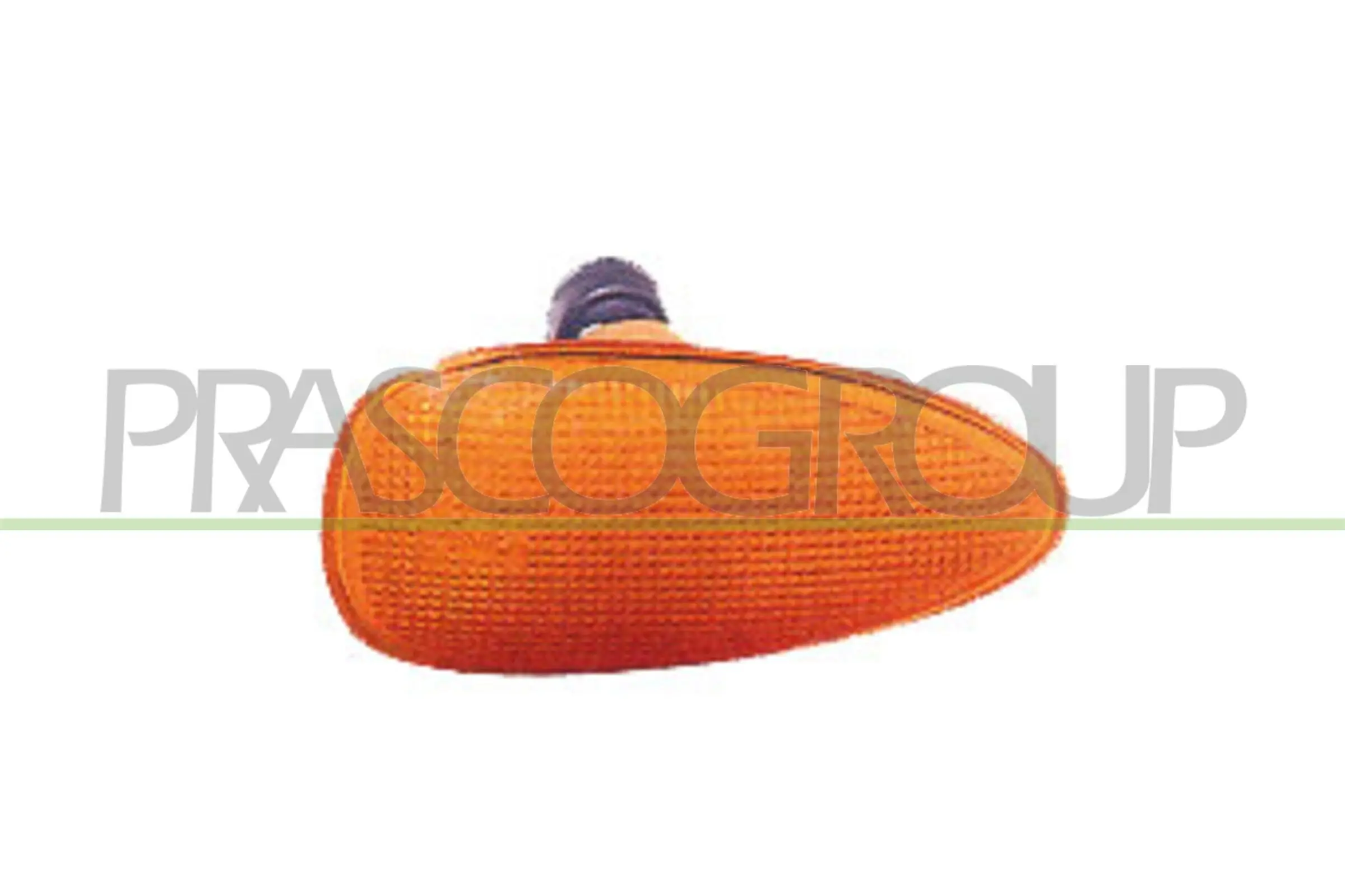 Blinkleuchte beidseitig seitlicher Einbau PRASCO FT1374139
