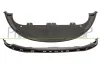Spoiler Fahrzeugfront PRASCO FT1381801