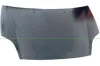Motorhaube PRASCO FT1383100