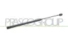 Gasfeder, Koffer-/Laderaum hinten links hinten rechts PRASCO FT3409055