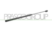 Gasfeder, Koffer-/Laderaum hinten links hinten rechts PRASCO FT3409055