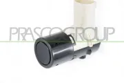 Sensor, Einparkhilfe hinten vorne PRASCO FT3522901