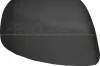 Abdeckung, Außenspiegel rechts PRASCO FT3607403