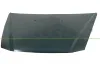Motorhaube PRASCO FT4203100