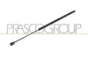 Gasfeder, Koffer-/Laderaum hinten links hinten rechts PRASCO FT4209070