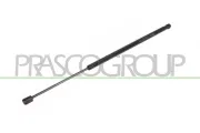 Gasfeder, Koffer-/Laderaum hinten links hinten rechts PRASCO FT4209070