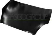 Motorhaube PRASCO FT4403100