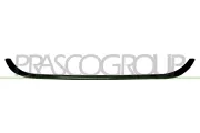 Zier-/Schutzleiste, Kühlergitter vorne PRASCO FT4482305
