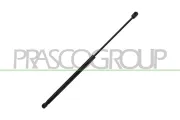 Gasfeder, Koffer-/Laderaum hinten links hinten rechts PRASCO FT4489053