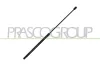 Gasfeder, Koffer-/Laderaum hinten links hinten rechts PRASCO FT5209055