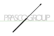 Gasfeder, Koffer-/Laderaum hinten links hinten rechts PRASCO FT5209055