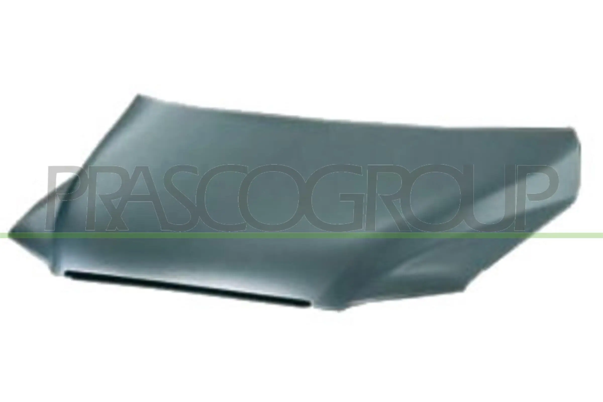 Motorhaube PRASCO FT7173100