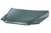 Motorhaube PRASCO FT7173100
