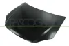 Motorhaube PRASCO FT8003100