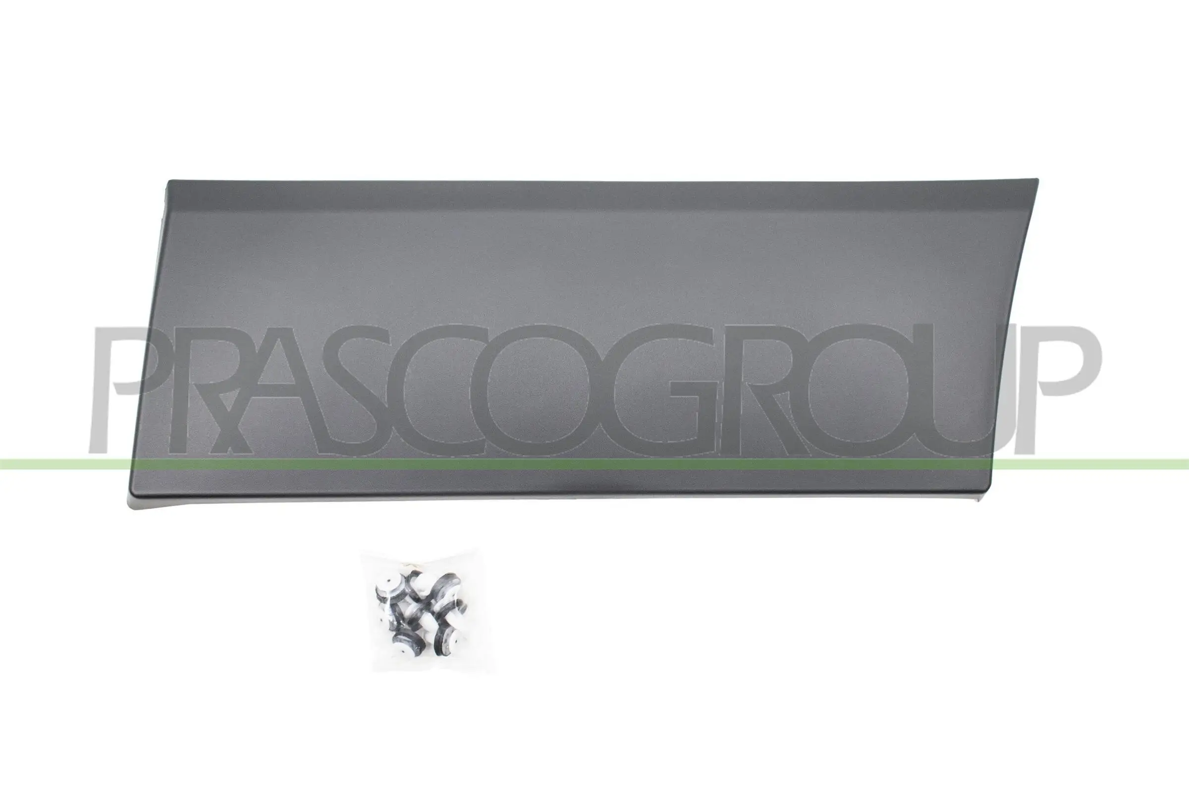 Zier-/Schutzleiste, Kotflügel hinten links PRASCO FT9001456