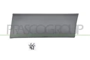 Zier-/Schutzleiste, Kotflügel hinten links PRASCO FT9001456