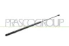Gasfeder, Koffer-/Laderaum hinten links hinten rechts PRASCO FT9079055