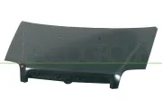 Motorhaube PRASCO FT9083100
